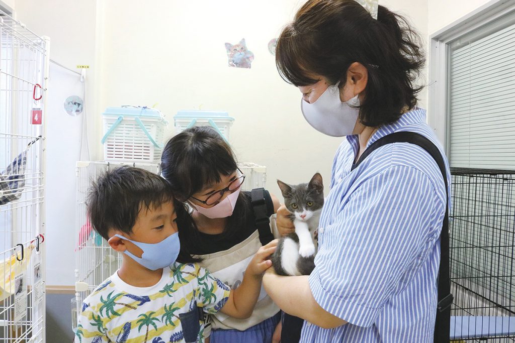 コロナ時代で変わる 譲渡事情 動物愛護週間 26日 朝日ぐんま 群馬のコト 知りたくなる Agnext